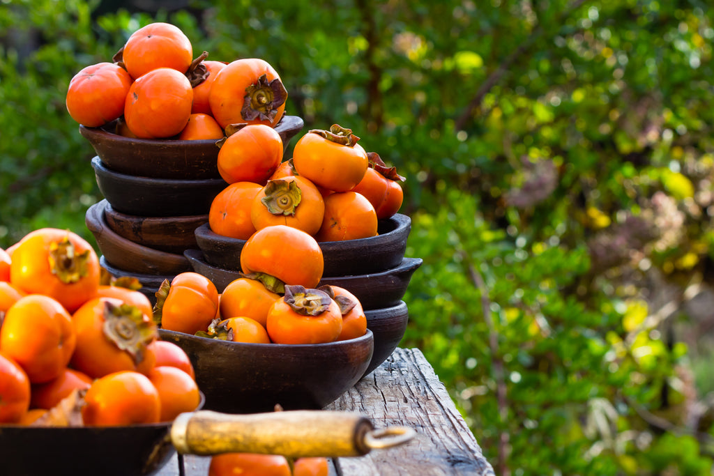 Facts About Persimmon Trees & Fruit