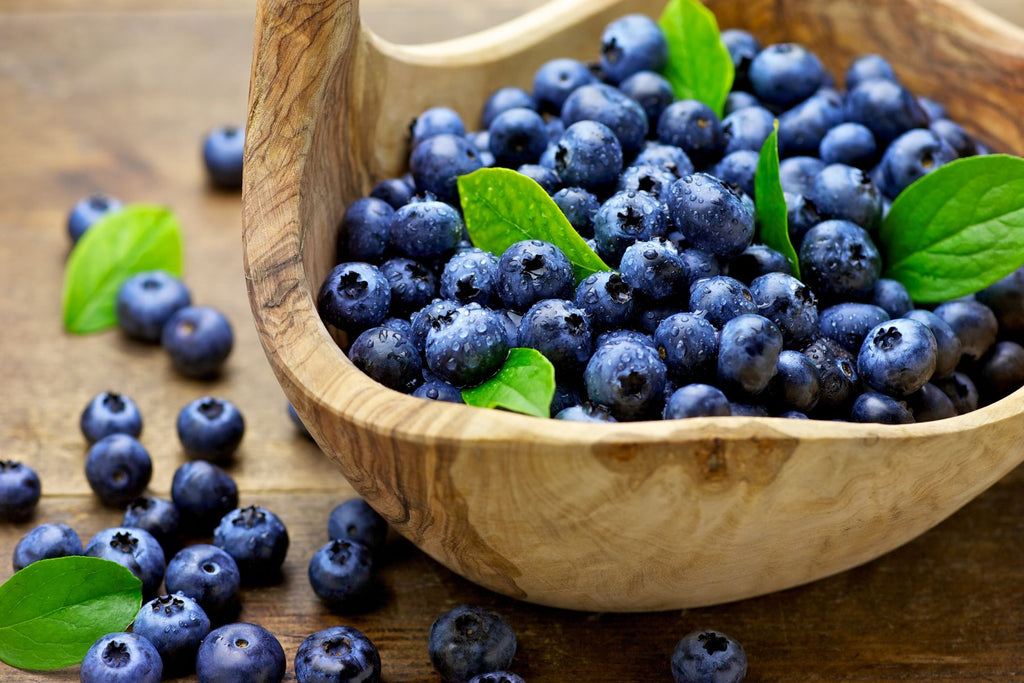 The Ultimate Guide to Successfully Growing Blueberries