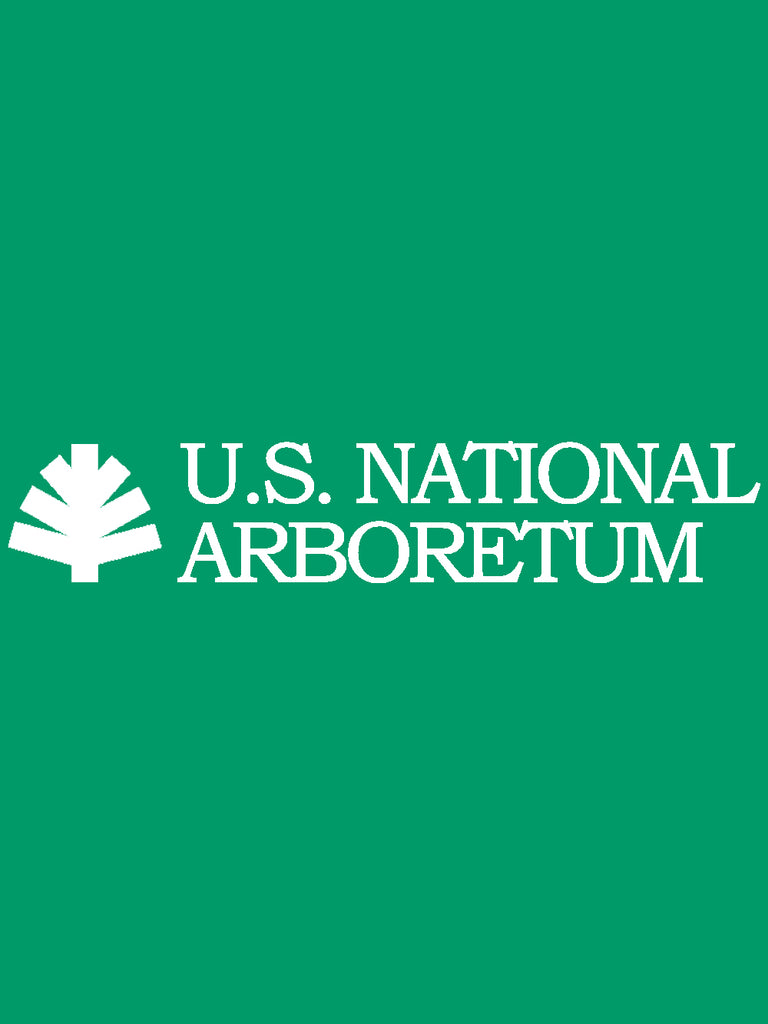 US National Arboretum Crape Myrtles