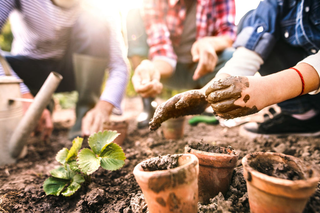 3 Ways Gardening Benefits Your Mental Health
