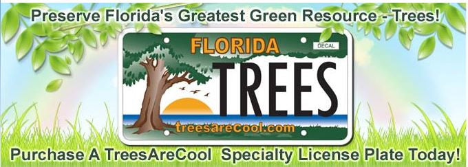 TreesAreCool Specialty License Plate Offered to Florida Drivers