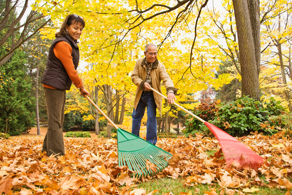 Fall Chores for a Better Spring