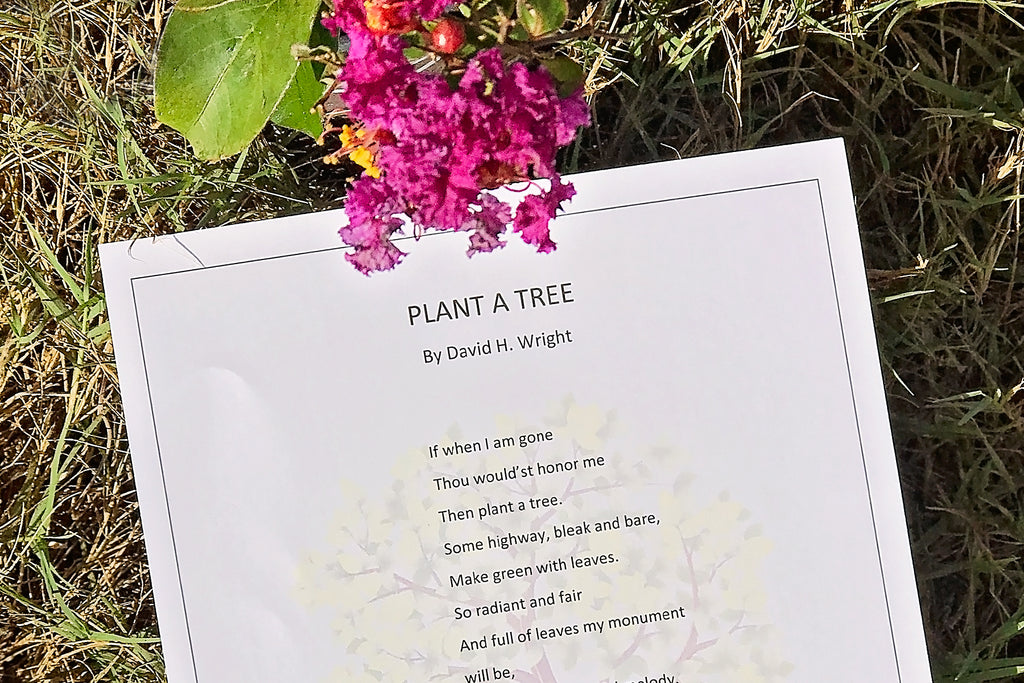 Plant a Tree as Memorial Tribute for Loved One