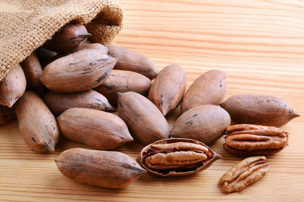 Answers To Frequently Asked Questions About Pecans