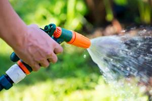 Watering in the summer: How much is too much?