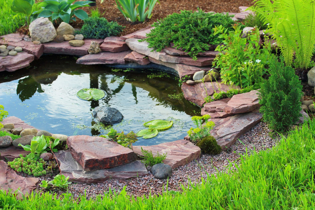 How To Turn Your Backyard Into a Thriving Green Sanctuary