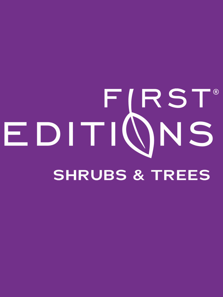 First Editions® Crape Myrtles