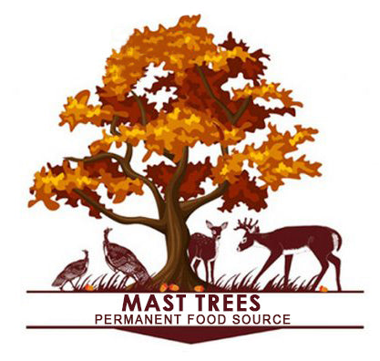 Mast Trees